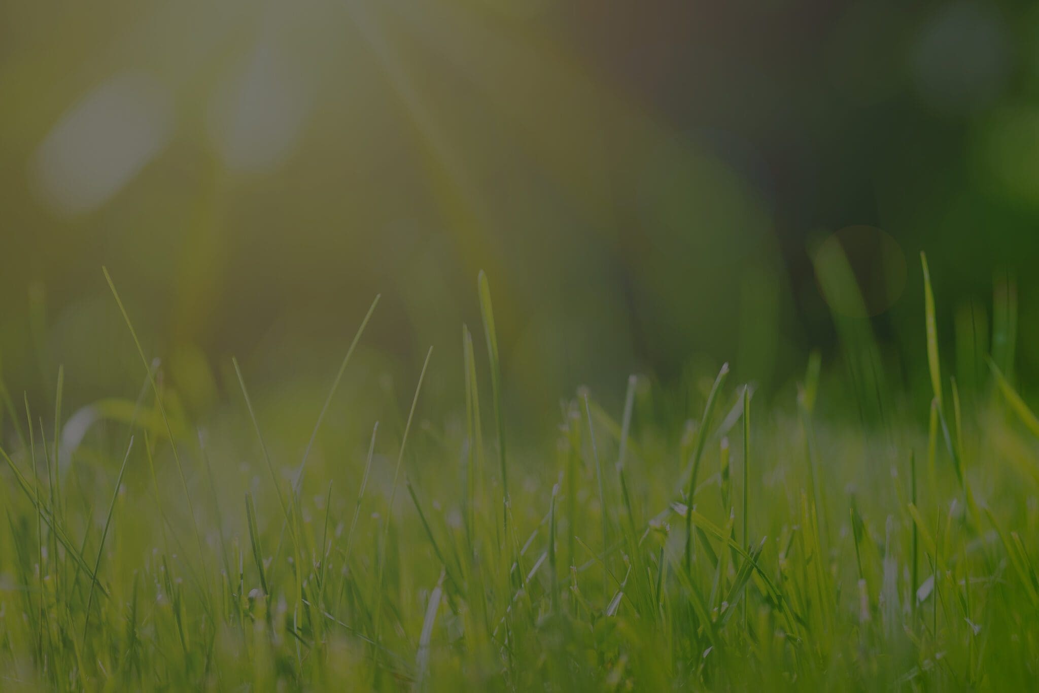 grass-hero