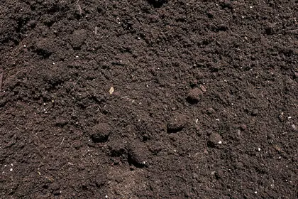we-article-soil-cover-420×280