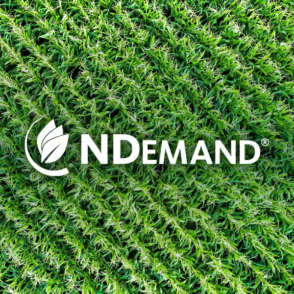 NDemand-Corn NDemand Logo over cornfield