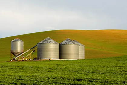 Grain-Bins_GI-184088980_HEADER_420x280 Grain bins and wheat field
