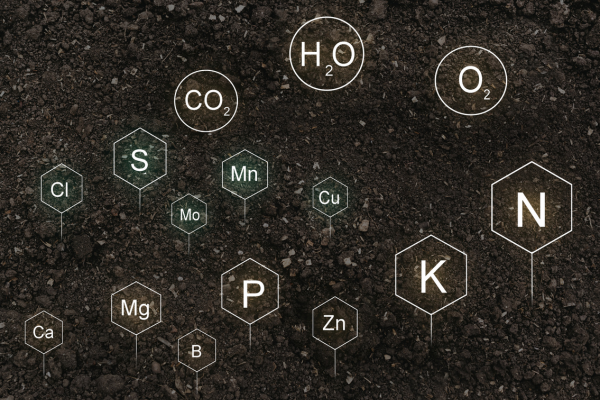 Soil Nutrients (1)
