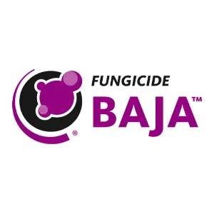 Baja Logo