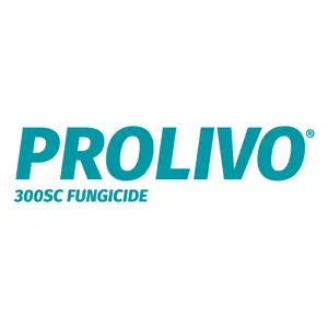 Prolivo Logo
