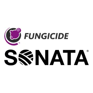 Sonata Logo