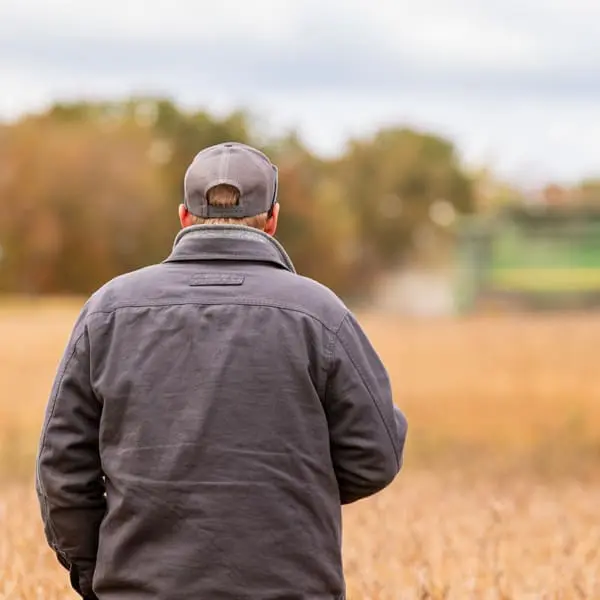 Grower scouting a crop field during harvest season