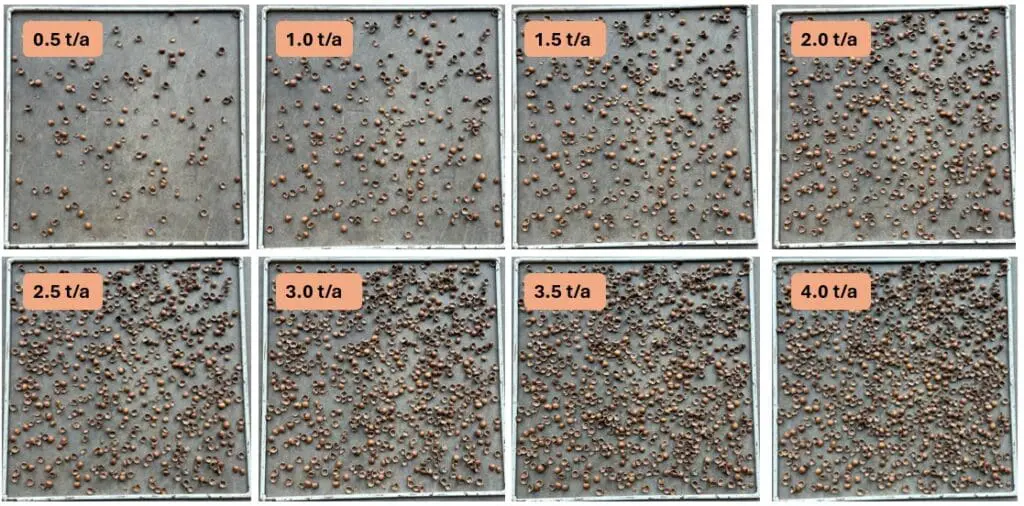 Comparison of shell density measured by t/a.