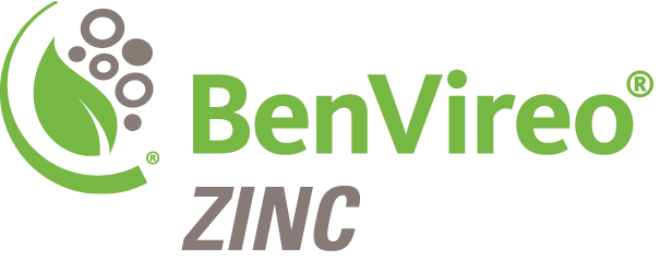 BenVireo ZINC