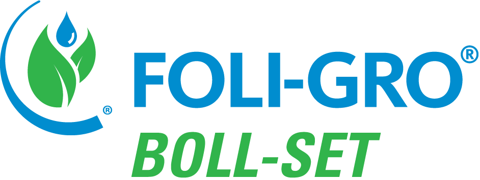 FOLI-GRO BOLL SET