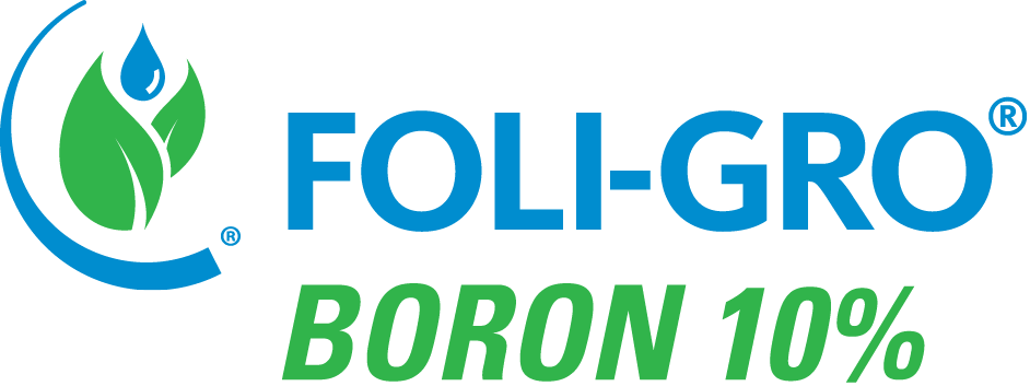 FOLI-GRO BORON 10 PERCENT