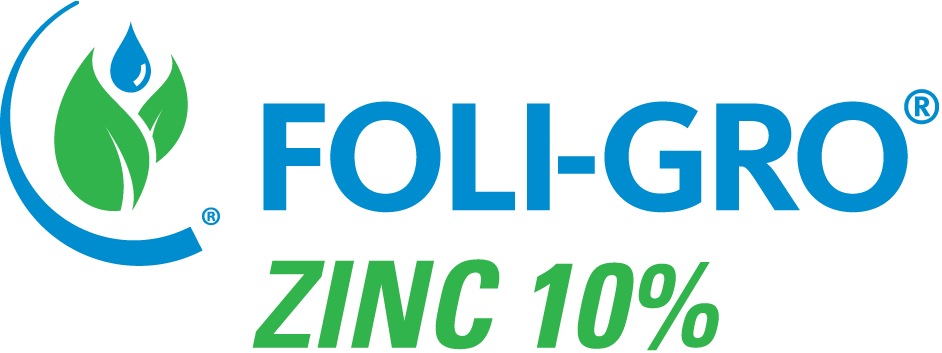 FOLI-GRO ZINC 10 PERCENT