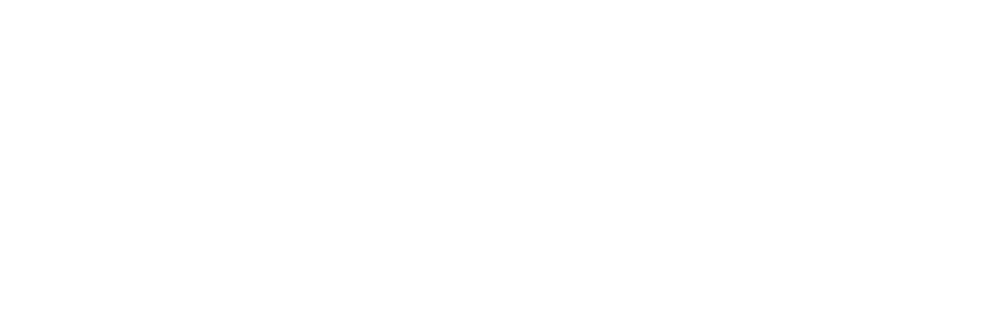 Logo_MAX_SET-White MAX SET