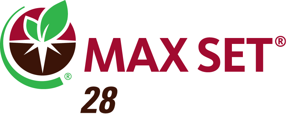 MAX SET 28