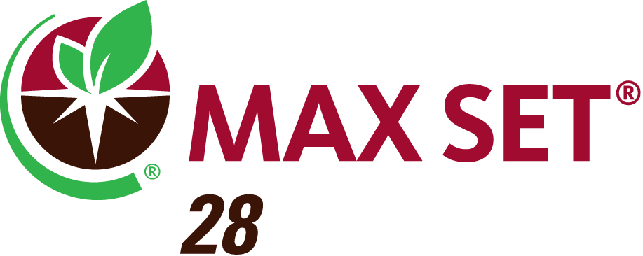 MAX SET 28