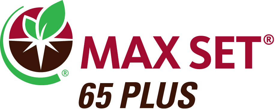 MAX SET 65 PLUS
