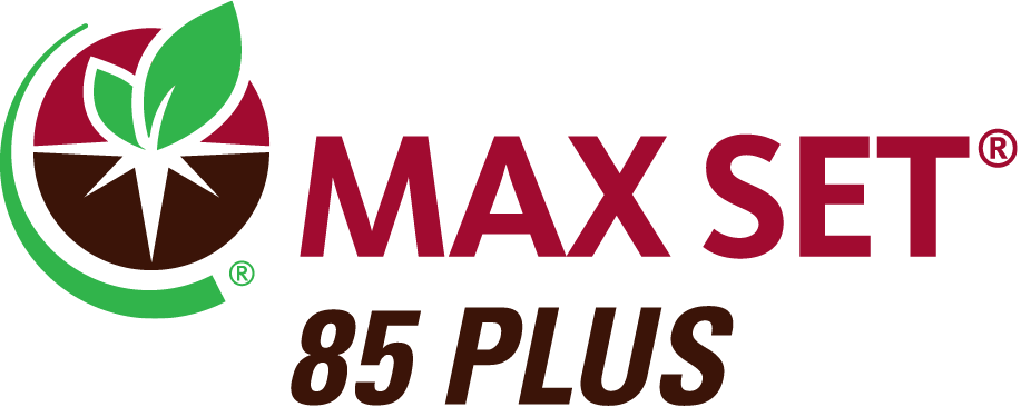 MAX SET 85 PLUS