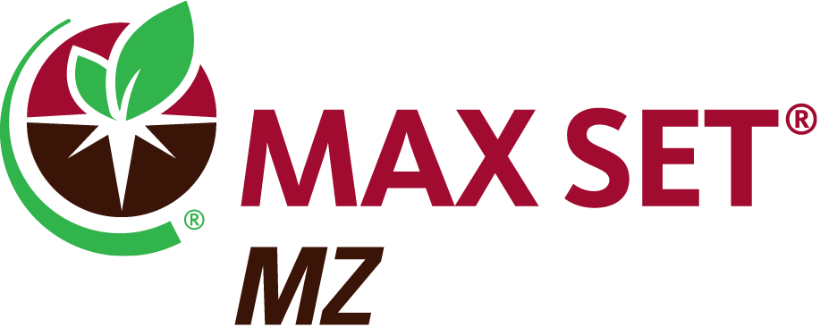 MAX SET MZ