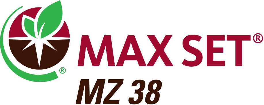 MAX SET MZ 38