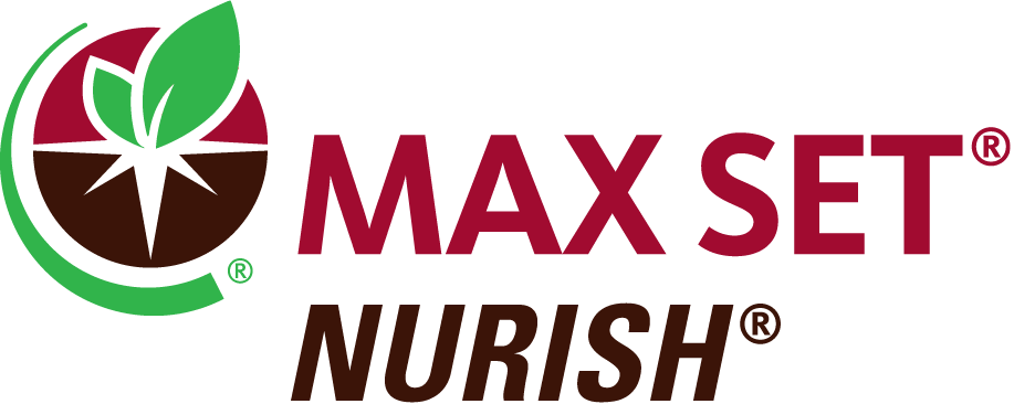 MAX SET NURISH
