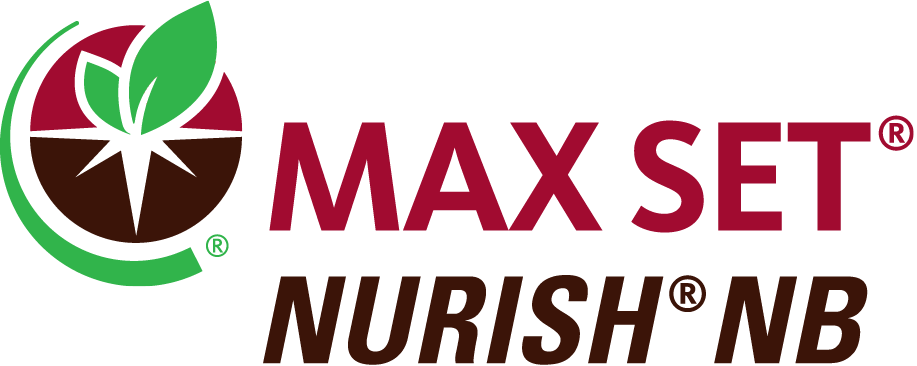 MAX SET NURISH NB