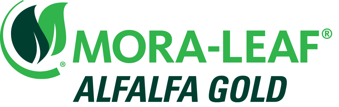 MORA-LEAF ALFALFA GOLD