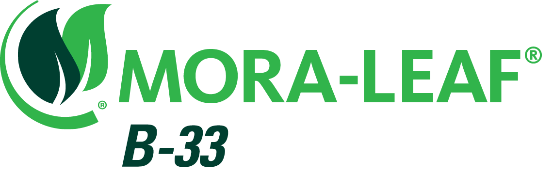 MORA-LEAF B-33