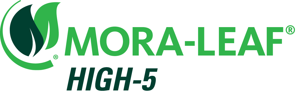 MORA-LEAF HIGH-5