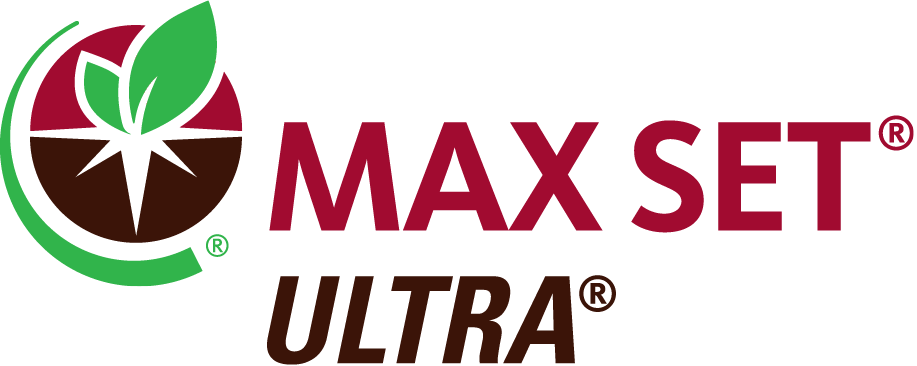 MAX SET ULTRA