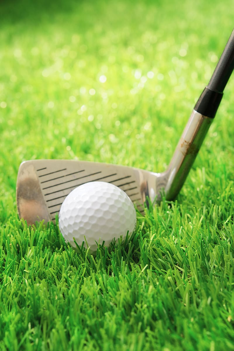 Lawn & Landscaping