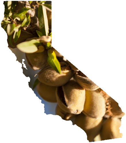 CA-almonds