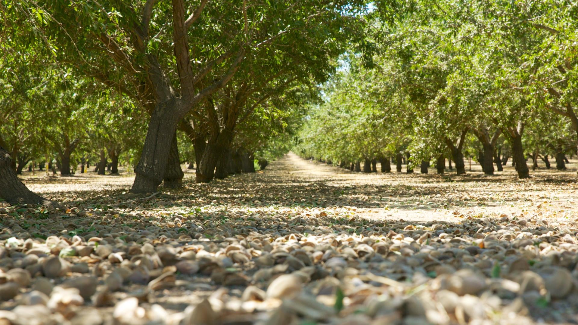 hero-article-intricacies-salinity-management