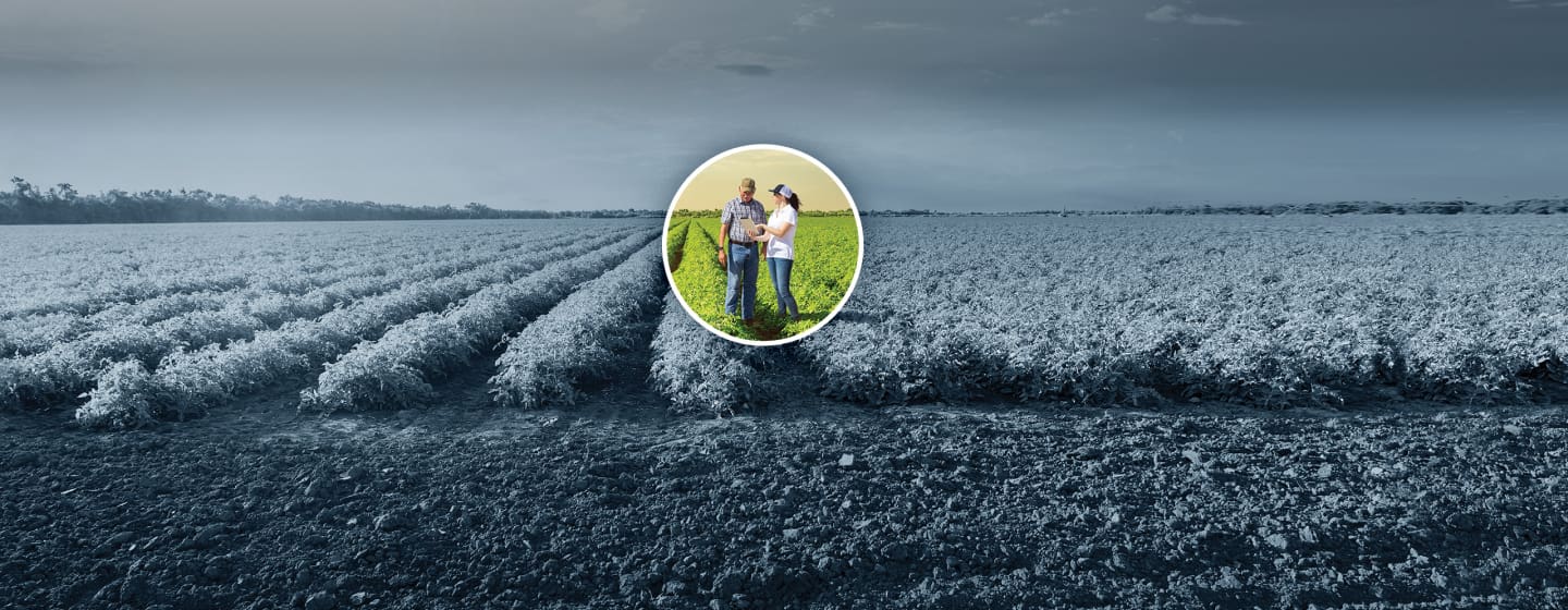 home_pageheader_bg