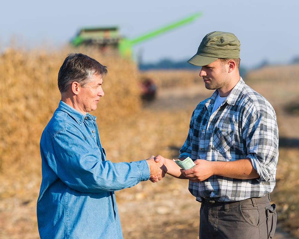 WE_SoilSampling_YieldFactors_1000x800