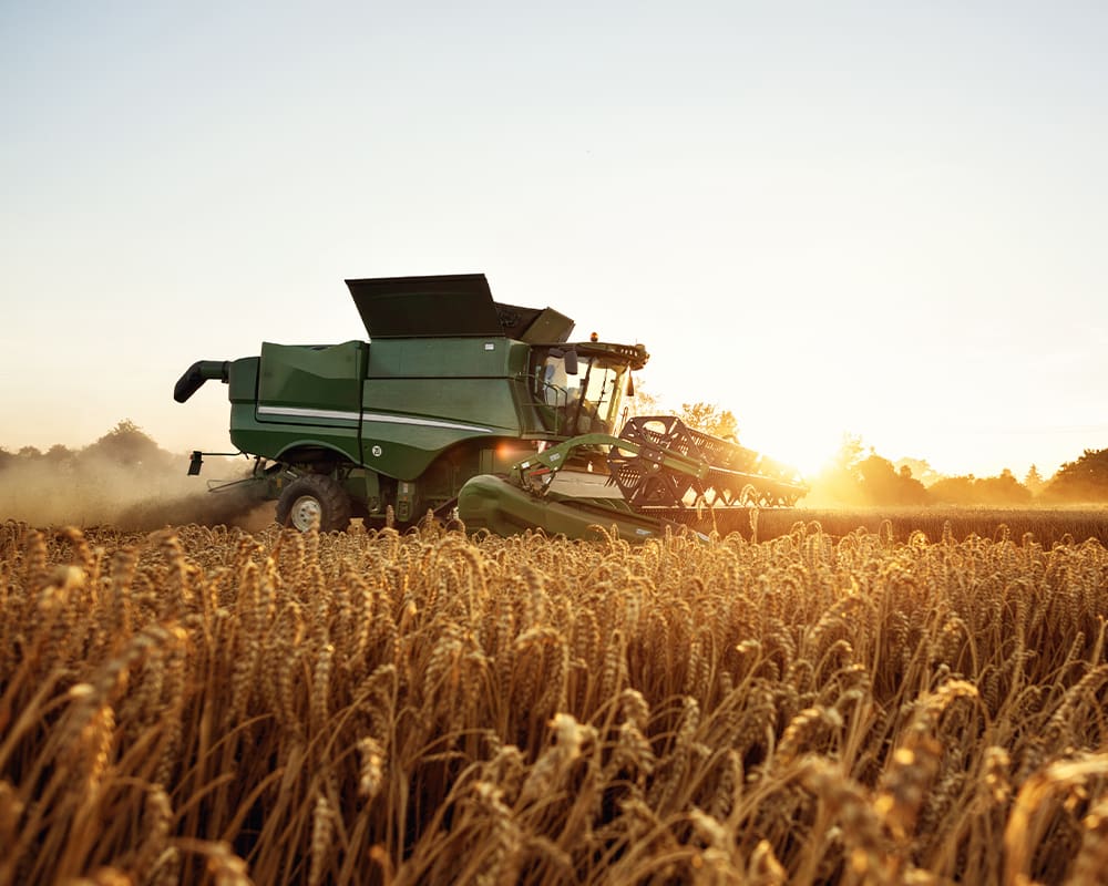 WE_Partners_Innovation_GrowersAxis_1000x800