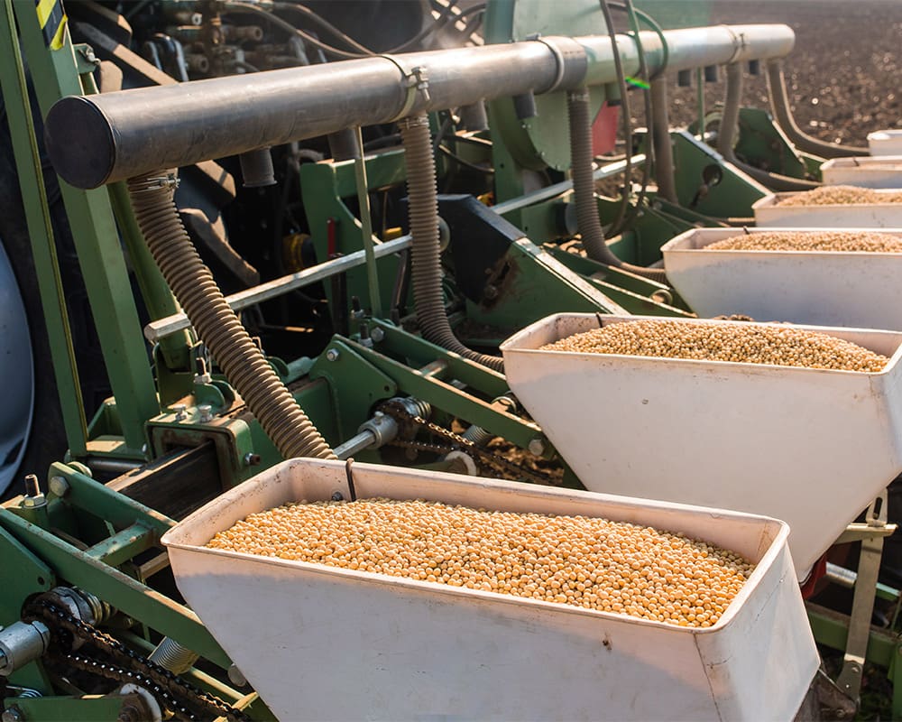 WE_UpperMidwest_Seeds_1000x800