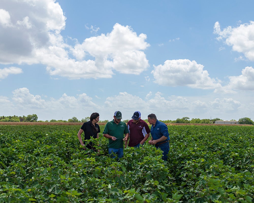 WE_SoilSampling_NutrientPrograms_1000x800