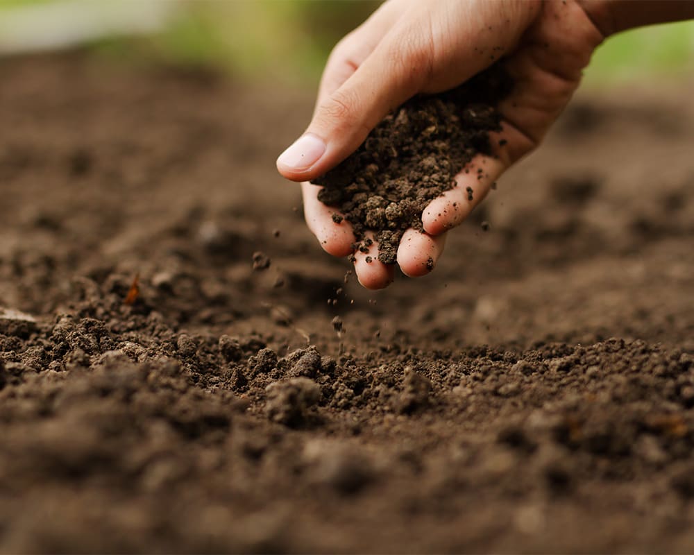 WE_SoilHealth_1000x800