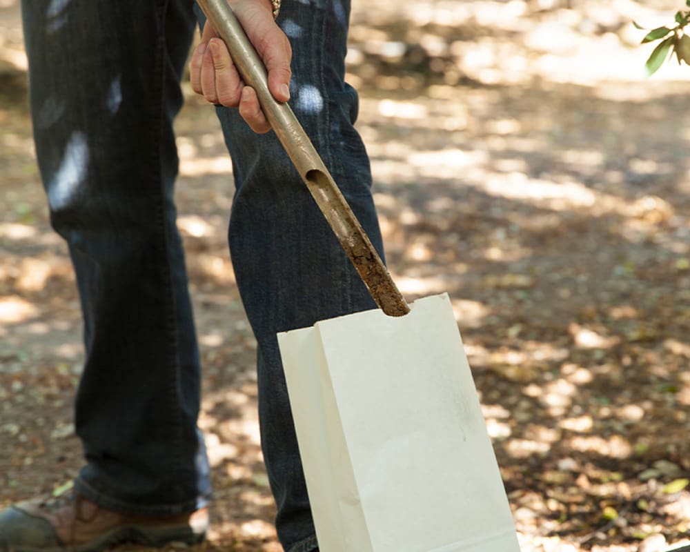 Soil Sampling