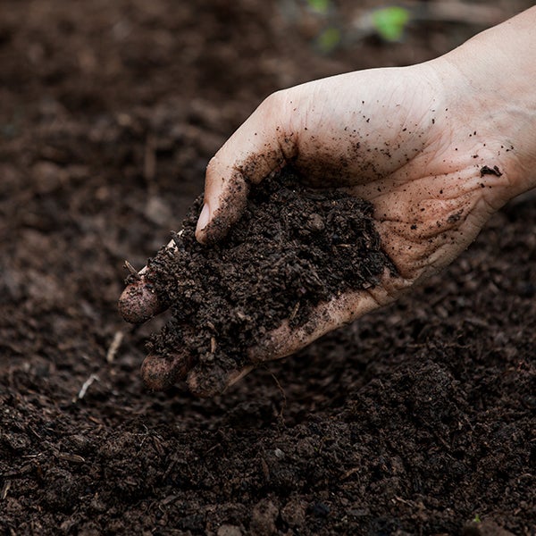 Can PURIC® Humic Acid Increase Water Holding Capacity of Soils?