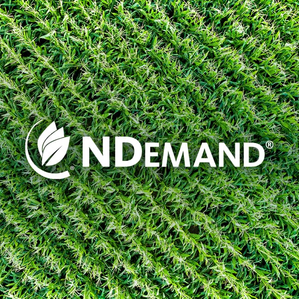 NDemand-Corn NDemand Logo over cornfield