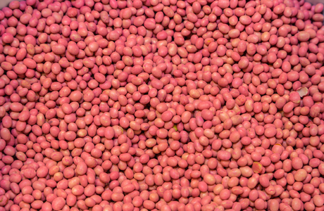 Using Your Bean (460 × 300 px) soybeans