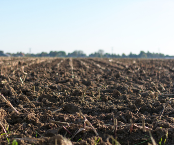 Soil Big The Importance of Soil Temperatures