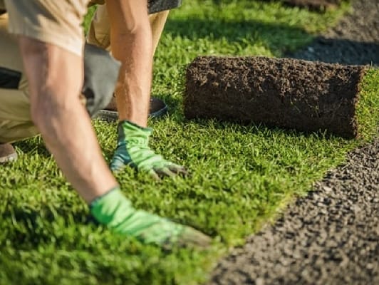 landscaping-532x400