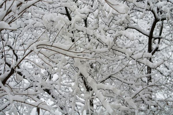 winter