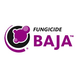 Baja Logo
