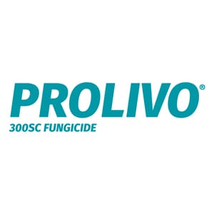 Prolivo Logo
