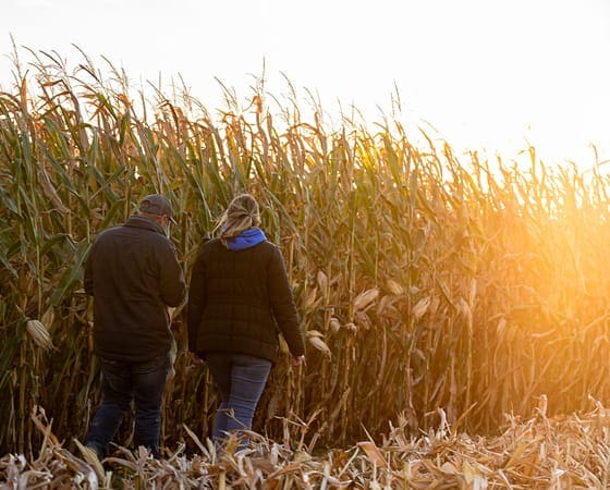 partners_corn_560x450