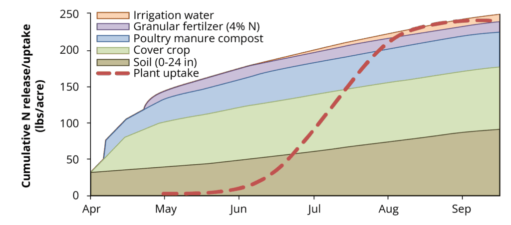 Figure 1: An example of N uptake and N supply in an organic tomato field. Data are based on the actual field trial in Davis, California (Crop: Fresh Market Tomato cv Brandywine).