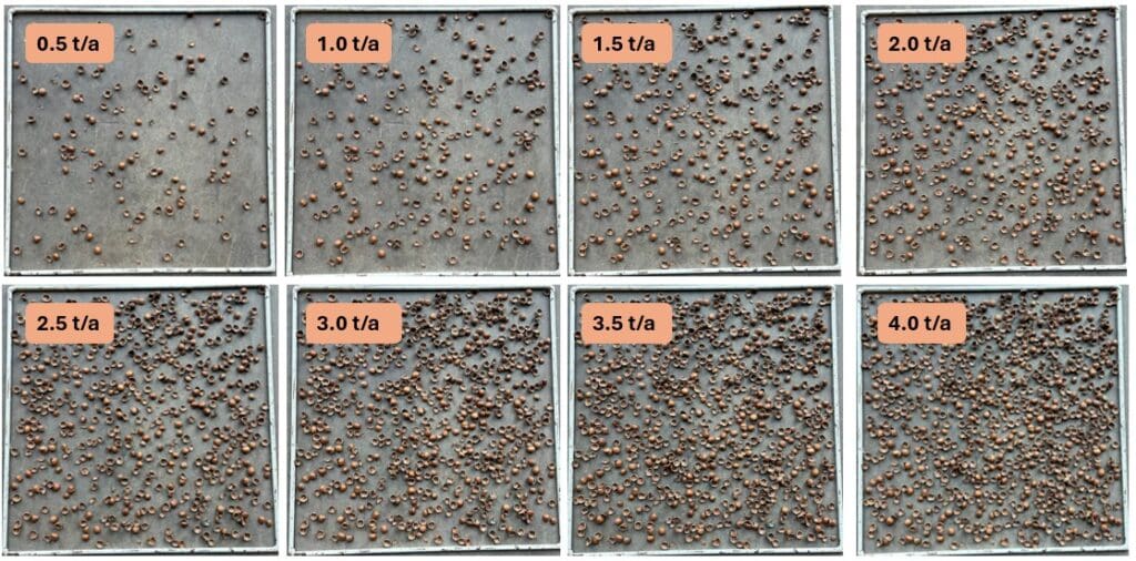 Comparison of shell density measured by t/a.