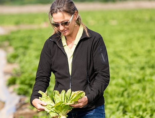 Organic advisor in the field