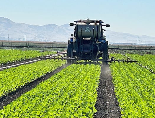 Applying novel solution to organic field